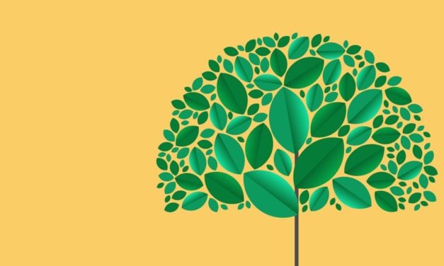 Brands In Focusing on Sustainability for 2020