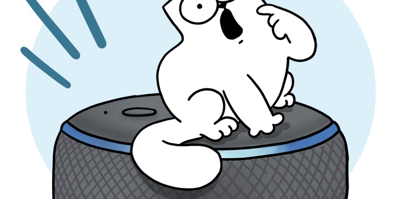 Endemol adds Simon's Cat and Big Brother skills to voice games