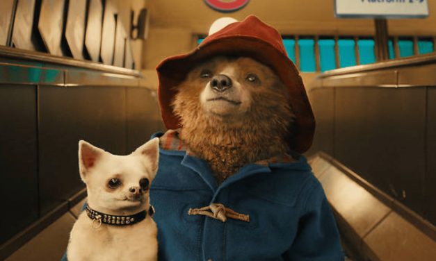 Rai Signs as Agent for Paddington Franchise