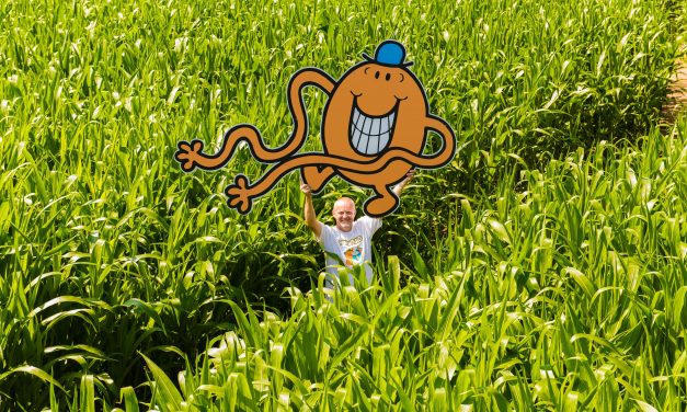 World’s Biggest Mr. Men Little Miss Maze to Celebrate 50th