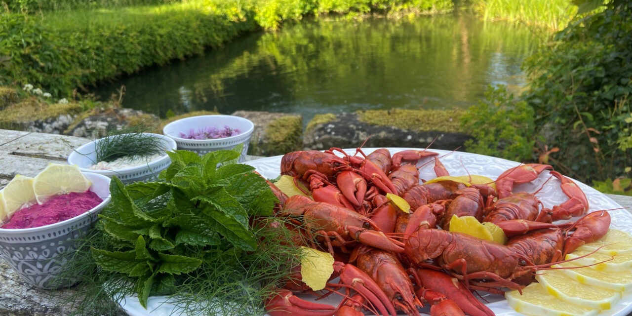 Kennet Crayfish Company Appoints Larkshead Licensing Agency to Expand Their Brand in the UK Market