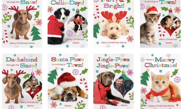 Rachael Hale Partners with Funky Pigeon to Launch Christmas Card Range